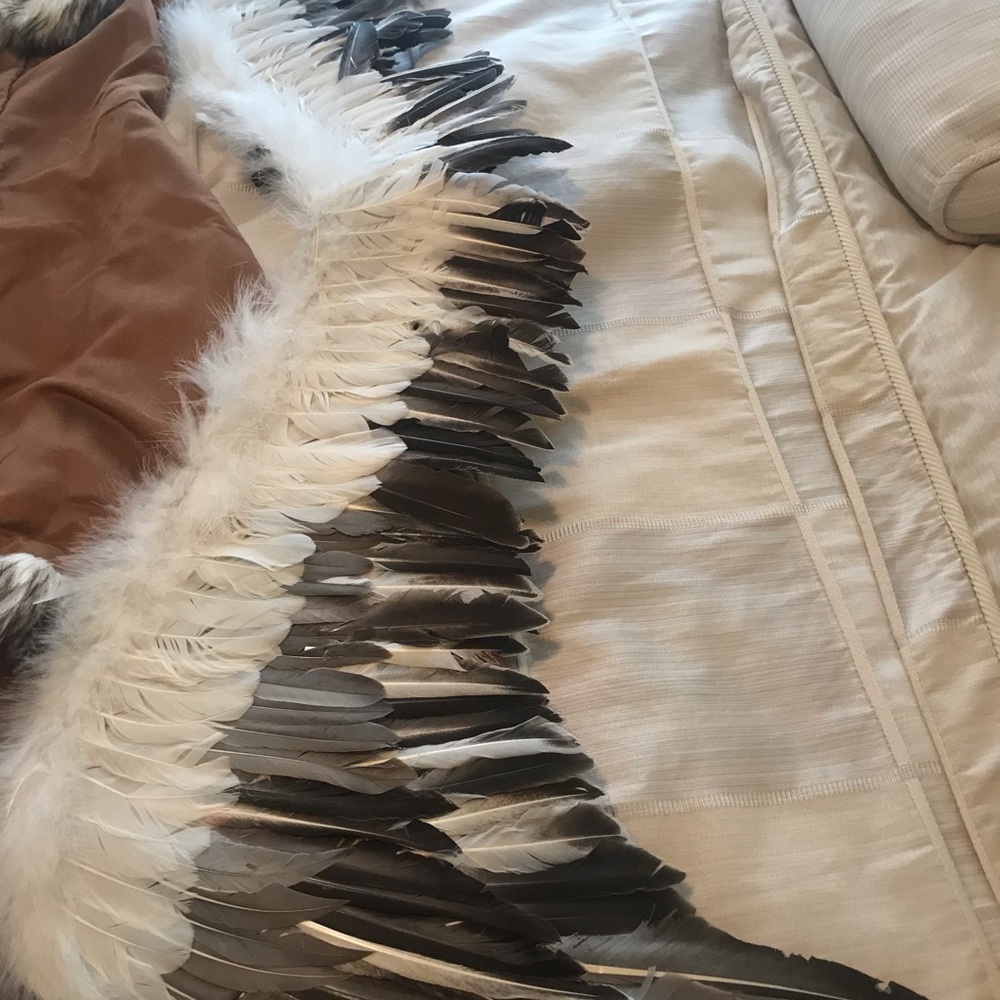 Chasing fireflies eagle costume 6/8 w/wings, boots - Picture 4 of 5
